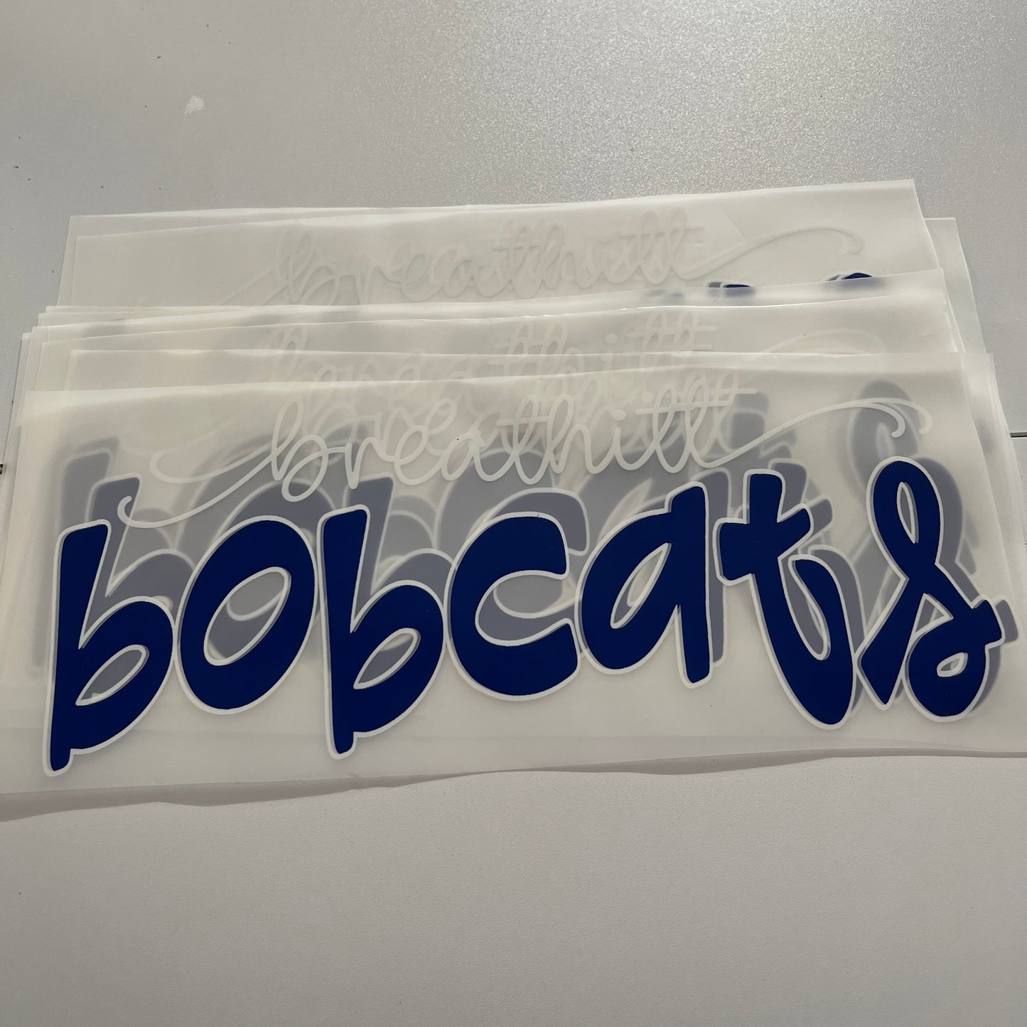Breathitt County Bobcats