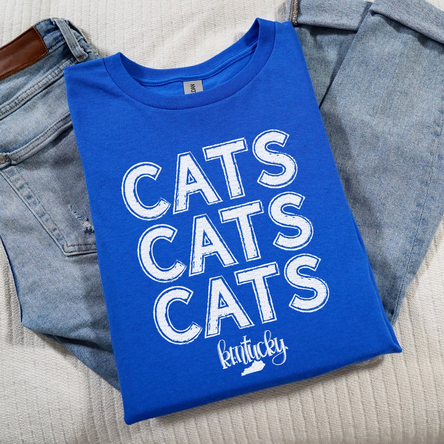 Cats Cats Cats, Kentucky | Screen Print Transfer | - SINGLE COLOR