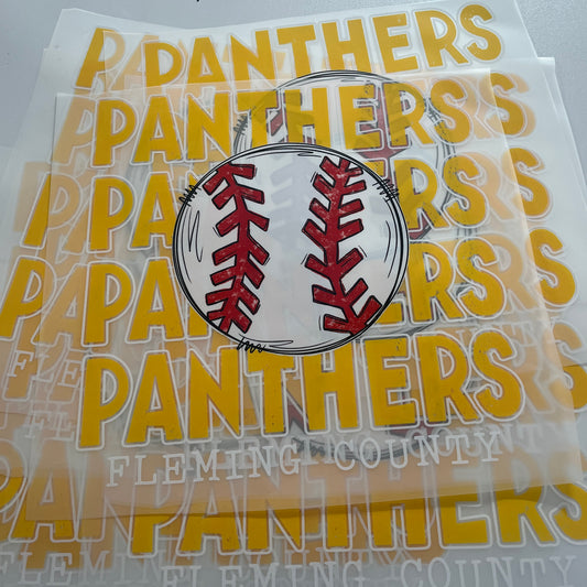 Fleming County Panthers