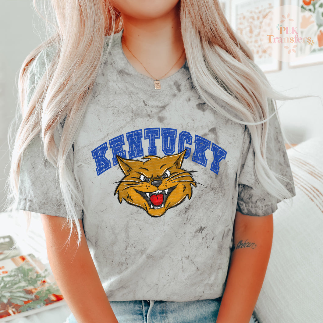 Kentucky, Mascot, Wildcat | Matte Clear Film Screen Print Transfer | - FULL COLOR