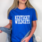 Kentucky Wildcats, Game Day | Screen Print Transfer | - SINGLE COLOR